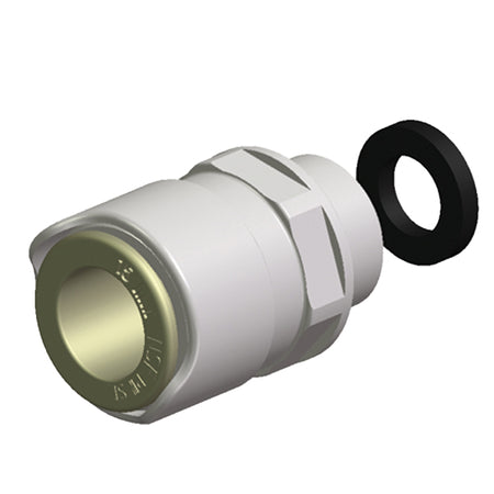 Whale haneadapter lige 1/2” gevind BSP set fra siden med klar synlighed af gevindet